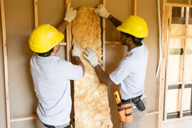 Best Garage Insulation  in Little River Academy, TX